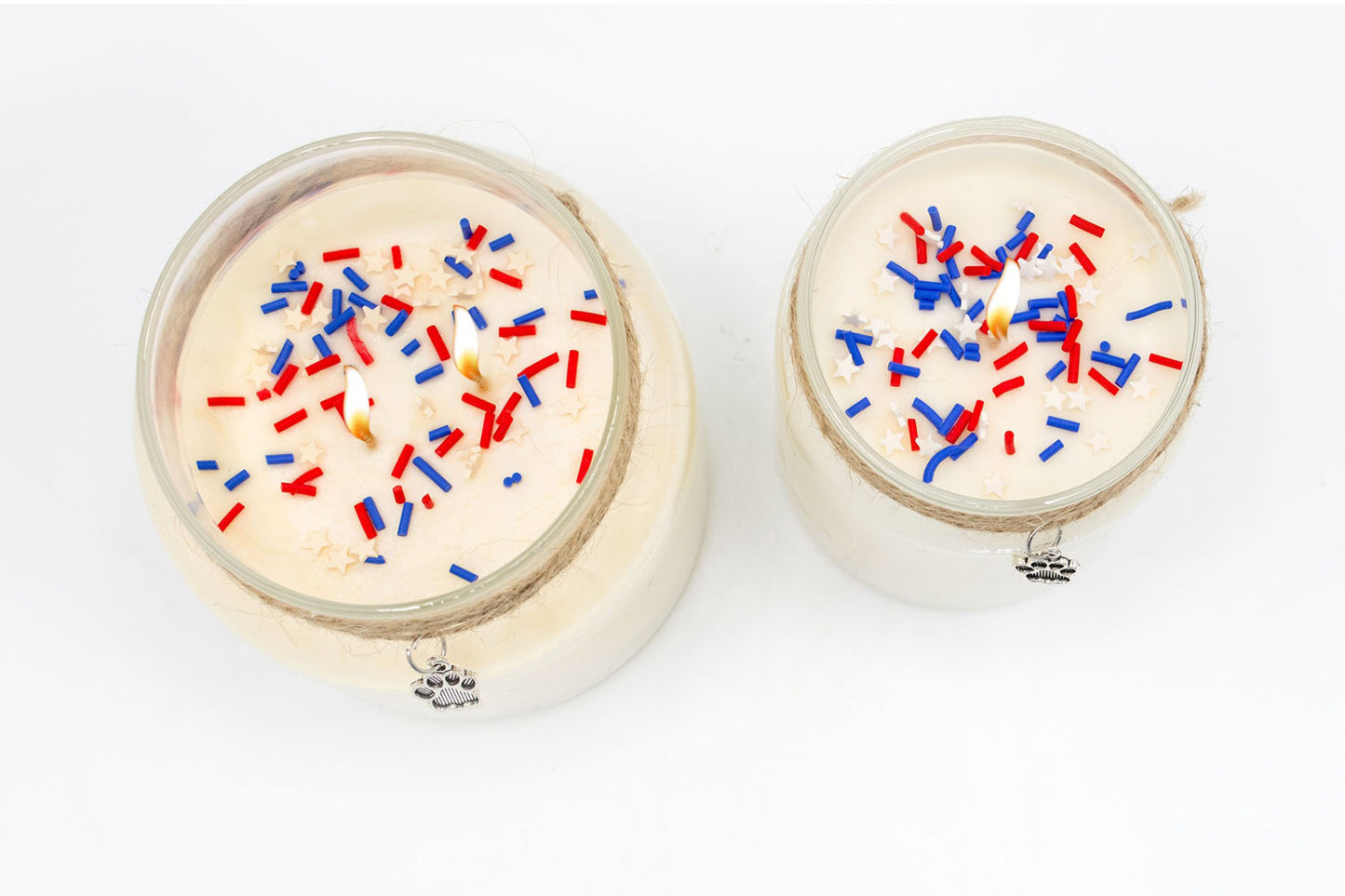 Patriotic Soy Wax Candle - "Dog wearing sunglasses"