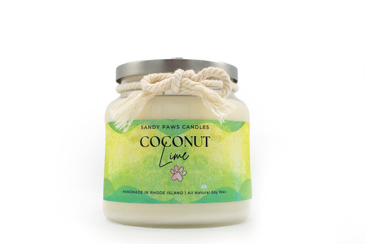 Coconut Lime Soy Wax Candle