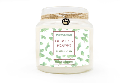 Peppermint & Eucalyptus  Soy Wax Candle
