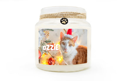 CompAnimals Holiday Fundraiser  - Soy Wax Candle