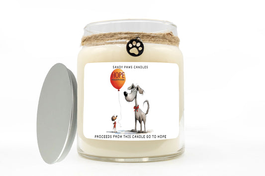 Helping Out Pets Everyday Fundraiser