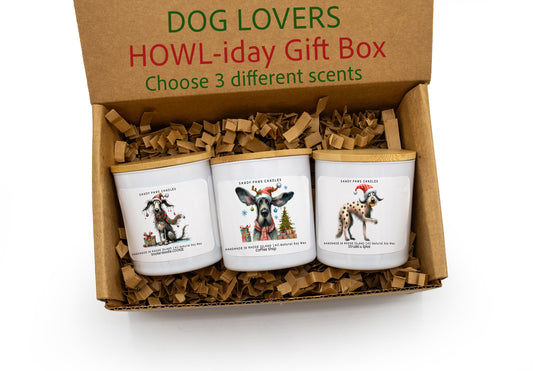 Happy HOWL-idays  Dog Gift Box Set