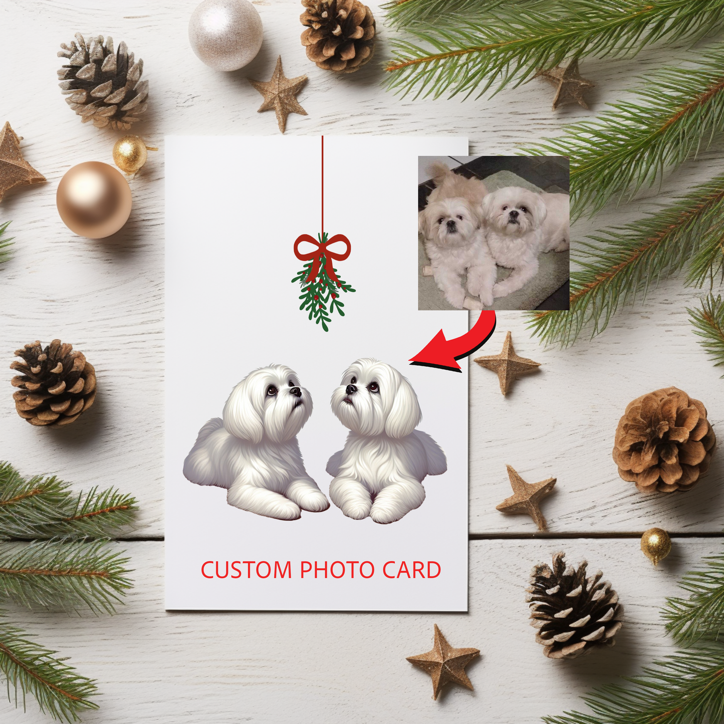 Holiday Cards - A Collection of cute, personalized cards and envelopes