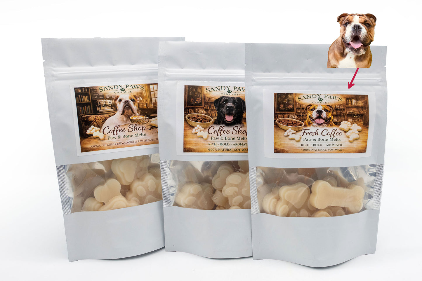 Show Off Your Pet Paw & Bone Melts